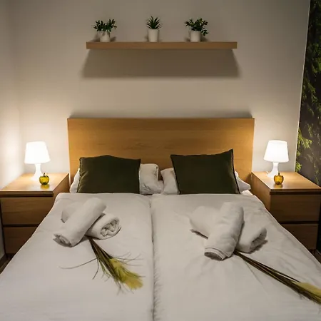 Apartament Ostoja Parku Kasprowicza- Z Basenem , Jacuzzi I Sauna *