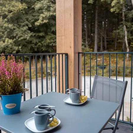 Apartament Ostoja Parku Kasprowicza- Z Basenem , Jacuzzi I Sauna Lägenhet *