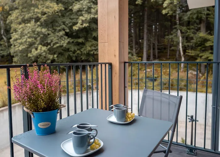 Ostoja Parku Kasprowicza- Z Sauna Appartement *